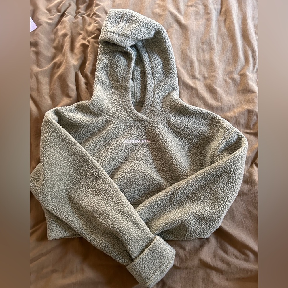 Alphalete crop hoodie